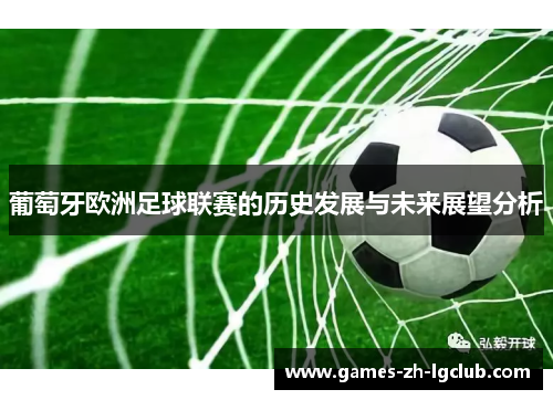 葡萄牙欧洲足球联赛的历史发展与未来展望分析